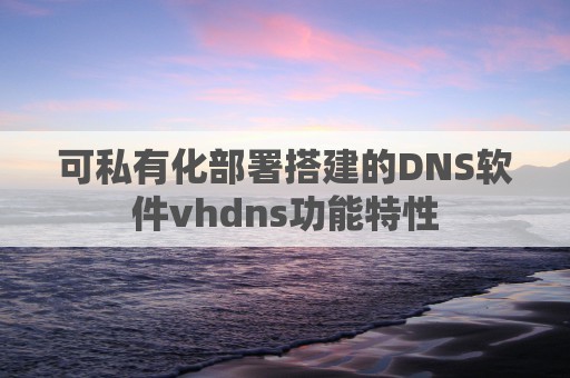 可私有化部署搭建的DNS软件vhdns功能特性