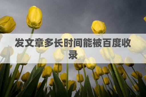 发文章多长时间能被百度收录-网站优化