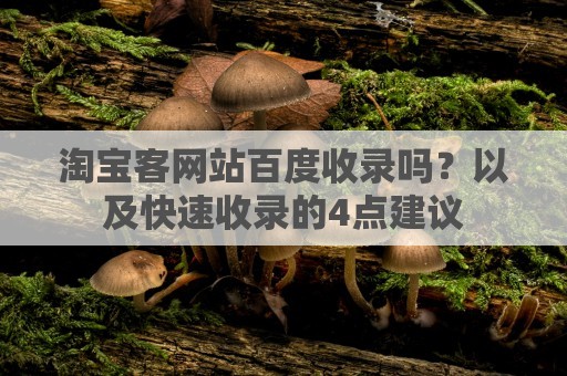 淘宝客网站百度收录吗？以及快速收录的4点建议-网站优化