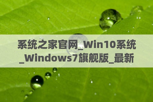系统之家官网_Win10系统_Windows7旗舰版_最新GhostXP Sp3系统下载